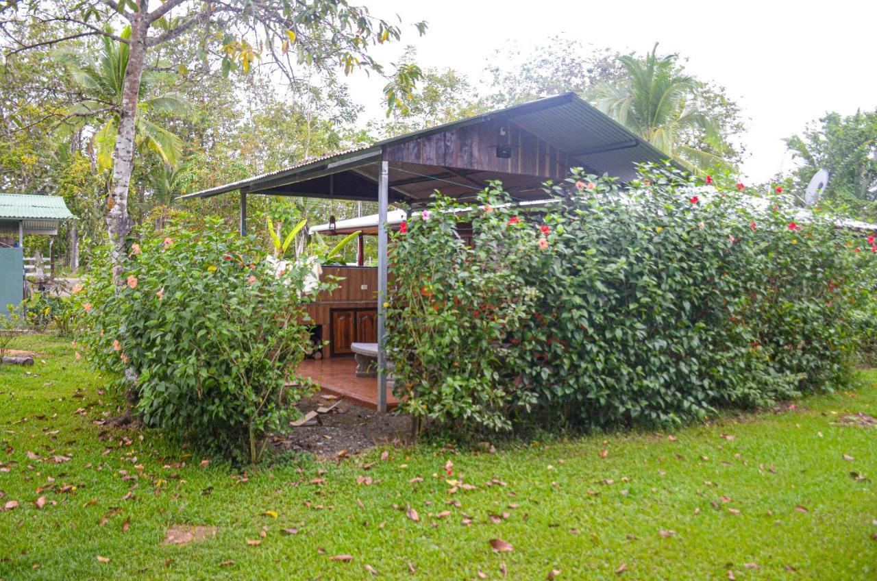 Hospedaje Y Alojamiento Cabanas Don Beto La Palma Εξωτερικό φωτογραφία