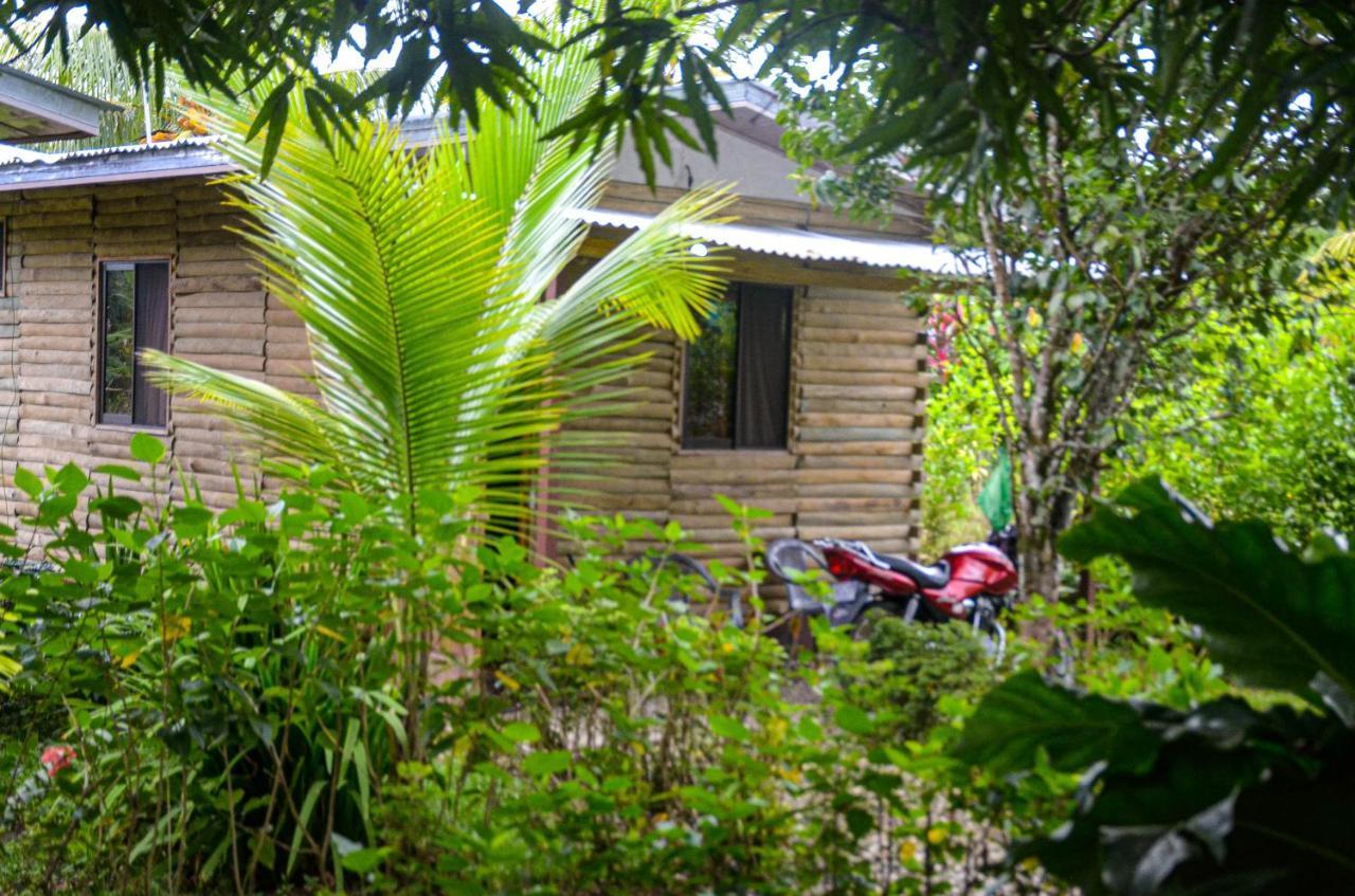 Hospedaje Y Alojamiento Cabanas Don Beto La Palma Εξωτερικό φωτογραφία